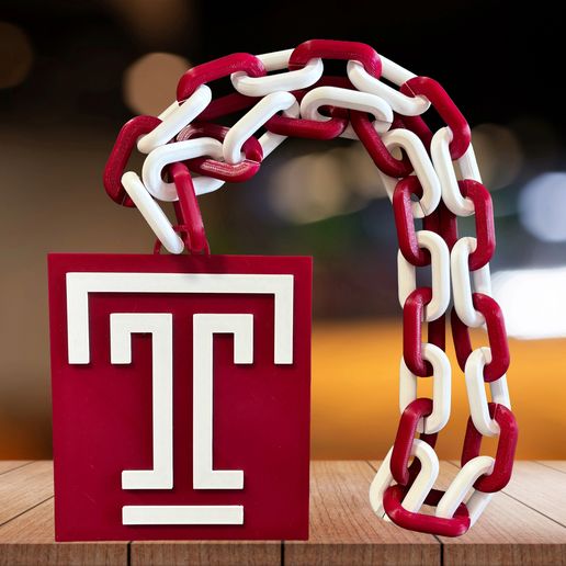 B3.jpeg Temple Owls Chain