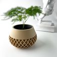 misprint-7958.jpg The Elson Planter Pot with Drainage | Tray & Stand Included | Modern and Unique Home Decor for Plants and Succulents  | STL File