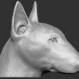 6.jpg Bull Terrier dog for 3D printing