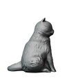 mital-pic2.png British Shorthair Cat (Hand Sculpted)
