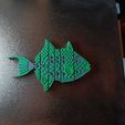 flexi-gray-trigger-fish-3.jpg pez gatillo gris flexi
