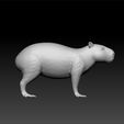 caiy2.jpg Capybara - Capybara 3d model for 3d print