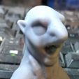 IMG_4329.jpeg Shark-Goblin Bust