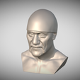 Zrzut-ekranu-2025-05-27-223035.png Hulk Hogan bust for 3D printing