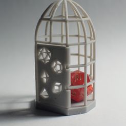 DSC_0032.jpg Bird cage dice jail.