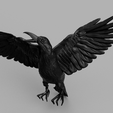 werrwee.png Crow