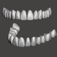 Model-C.png Aesthetic Tooth Libraries