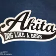 image;s=1000x700.webp akita dog like a boss