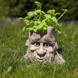 Waldther4.jpg Cartoon Style Tree Face Planter