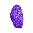 RIGHT HEMISPHERE.stl Modèle de cerveau en 3D avec hémisphère, tronc cérébral, cervelet et système artériel et veineux très détaillé, y compris le cercle de Willis.