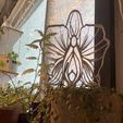 IMG_9042.jpg Vulva trellis