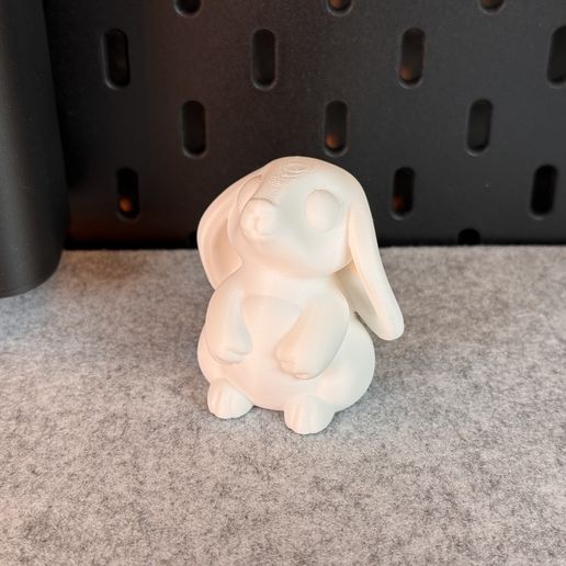 IMG_7165.jpg Conejito lindo