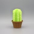 Cactus-Pot-Plants-Blue-candle.jpg Cactus Pot Plants