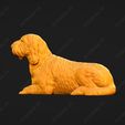 1066-Basset_Griffon_Vendeen_Petit_Pose_08.jpg Basset Griffon Vendeen Petit Dog 3D Print Model Pose 08