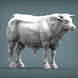 Bull6.jpg Bull 3D print model