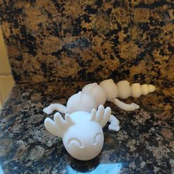 IMG20201108152305.jpg STL file Articulated Axolotl・3D printing idea to download