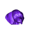 Dachshund_puppy.obj Puppy of Dachshund dog head for 3D printing