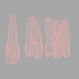 meshmixer_S2paufH5R2.png Root Canal Teeth for Practice 10 models