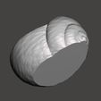 003.jpg Shell Planter