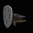 northern-pike-8.png head trophy NORTHERN PIKE (ESOX LUCIUS) open mouth statue detailed texture for 3d printing