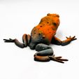 flexi-toad-3D-MODEL-5.jpg Flexi Toad Frog articulated print-in-place no supports