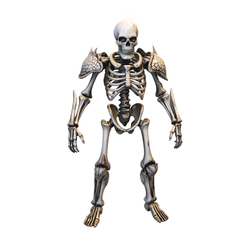 skeleton warrior game reader