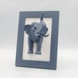 elephant-frame-1-1-02.jpg Elephant Frame