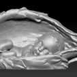 sleeping-baby-in-the-shell-3d-model-obj-mtl-2.jpg Sleeping baby in the shell