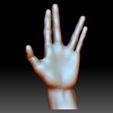 Vulcan Salute Star Trek Gesture 3D Model for printing.jpg Vulcan salute Star Trek gesture 3D printable