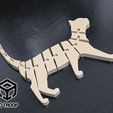 Cat-Flex-3DTROOP-Img03.jpg Cat Flex