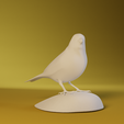 0007.png Canary