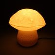 07.jpg Table lamp “Edulis Fungus” organic