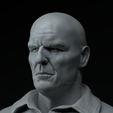 1000143873.png Breaking Bad Complete Premium 3D Bust Pack STL