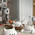 3B4EACAB-78C9-46D8-8ACB-259D231EFF13.jpeg Cute Blob Cats