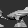 Whale Shark (1).jpg Whale Shark