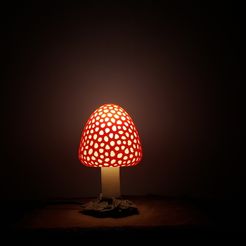 20150820_000819.jpg Free 3D file Mushroom Lamp・3D printing template to download