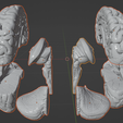 32.PNG.34250317100bad1784e1f5d499065ef7.png 3D Model of Human Brain