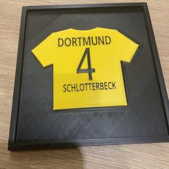 IMG_1700.jpeg STL file Schlotterbeck jersey with frame・3D printing design to download