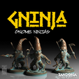AD_Miniatures_02.png Gninja--Gnome Ninjas,Tabletop RPG Miniatures