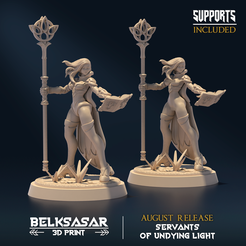 N001.png STL file Undying Light Windmage B Nude and Normal・3D printer design to download