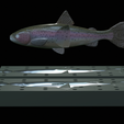 Am-bait-trout-breaking-16cm-5mm-oci-13mm-nalev-15.png AM bait fish rainbow trout 16cm breaking model / form for predator fishing