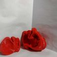 e4e64f80-c934-4206-b8cf-d78049149eb1.jpg Magnetic anatomical human heart