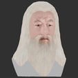 34.jpg Dumbledore from Harry Potter bust for full color 3D printing
