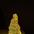 20221227_210217.jpg Night Light Collection. Peter Rabbit NightLight, Easy Print