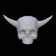 IMG_0316.jpeg Skull horns