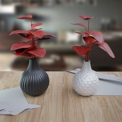 1.jpg vases in couple