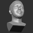 19.jpg Post Malone bust 3D printing ready stl obj formats