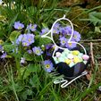 easter chick