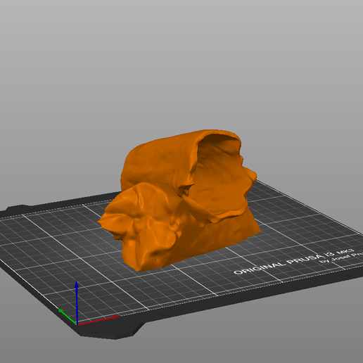 pic-6.png Reptile hide