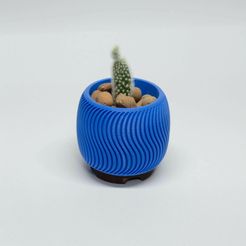 DSC_0236.jpg Wave - small pot for cactus